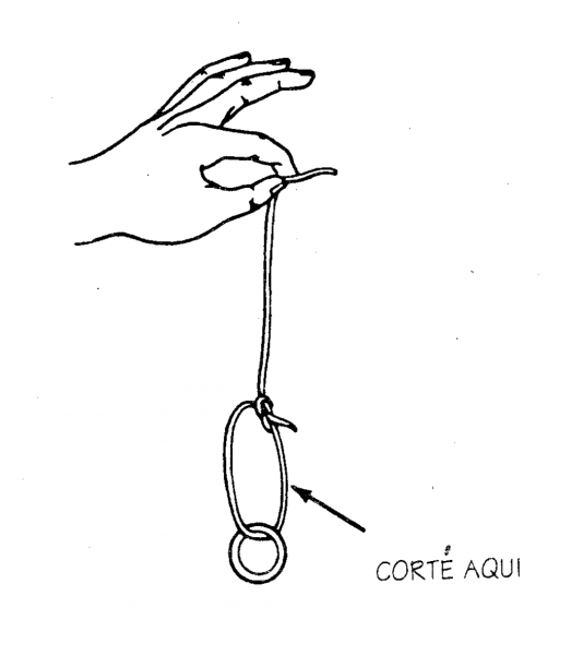 O ENIGMA DO ANEL