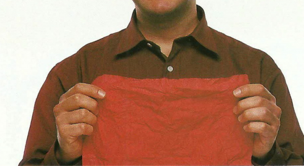 RASGANDO E RESTAURANDO UM GUARDANAPO DE PAPEL
