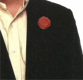 ROSA DE SEDA