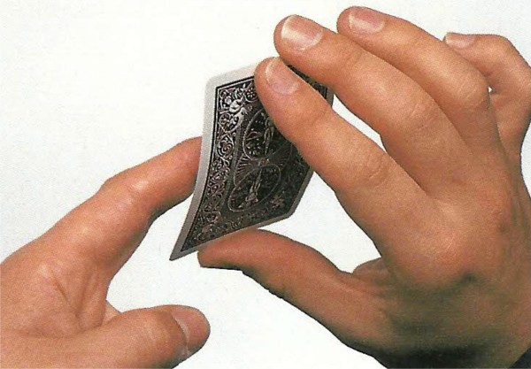 TATO AGUÇADO