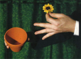 A FLOR FANTÁSTICA
