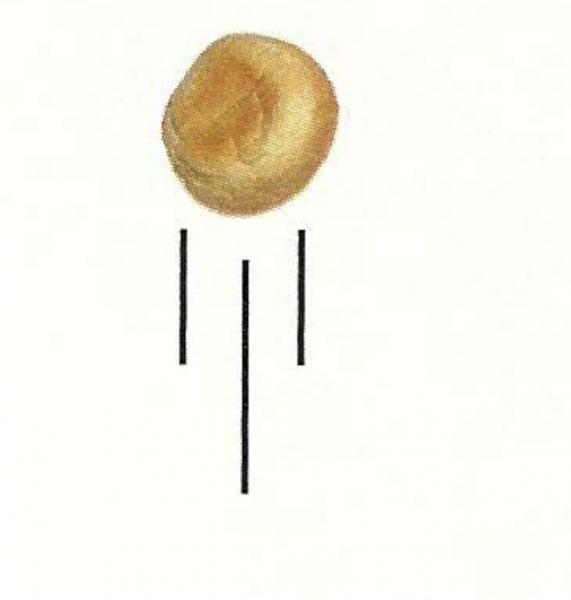 O PÃO FRANCÊS SALTADOR