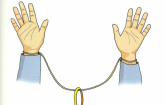 PULSEIRA FACEIRA